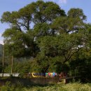 효자마을회관 이미지