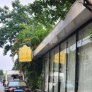 박장 | 베트남 박장_전통과 현대가 어우러진 레스토랑 Rùa Vàng 후기