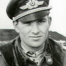 도그 에이스 이미지