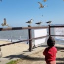 휴젠펜션 이미지