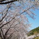 신선대산복로 네이버블로그