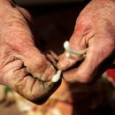 이미지 동영상 제작 이미지