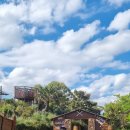 보배어린이집 | 호주 멜번 조기유학 우리가 멜번을 선택한 이유와 1년 동안의 리얼 후기 정리