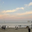 OK도매횟집 - 북구 화명동 | 광안리 가성비 횟집 OK도매횟집 광안리점 제철모듬회 찐 후기