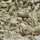 (주)의담환경 | 월하담 12 탁주 가격 구매방법, 10초컷 탁주로 유명한 송정주조 춈미탁주 내돈내산 후기