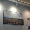 경기도 수원시 영통구 매영로248번길 이미지