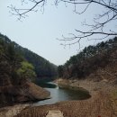 회남면사무소 이미지