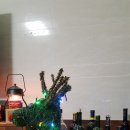 복주경매장 이미지