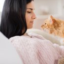 고양이눈 이미지