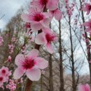 대원정사 이미지