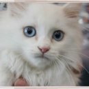 금촌종합동물병원 이미지