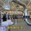 덕진큰사랑약국 | 평택 메가타운 대형 할인 약국 다녀옴 약값 얼마나 싸길래