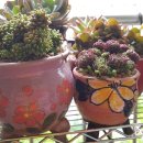 소영이네 마트 이미지