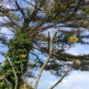 사기점 농장 이미지