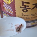 오뚜기 식품 이물질 발견 처리 후기