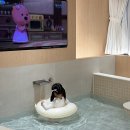 유에이치스위트 더강남 이미지