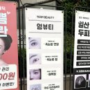 인스타염 | 일산 속눈썹 연장 추천 염뷰티 무쌍 L컬 후기🤍
