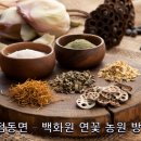 백화원연꽃영농조합법인 이미지