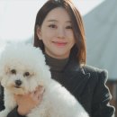 해피 이미지