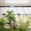 소중한메디케어의원 이미지