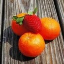 서울행복치과 이미지