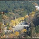 상마농장 이미지