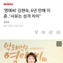 '영애씨' 김현숙, 6년 만에 이혼.."사유는 성격 차이" 이미지