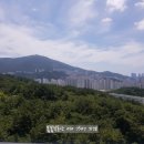 봄봄부동산중개사무소 이미지