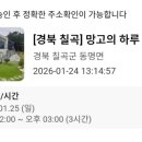 망고 애견 이미지