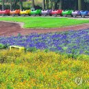 성읍리-13 이미지