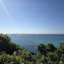 제주기사 | 제주도 가족여행 제주 스타리아 렌트 기사 포함 이용 후기