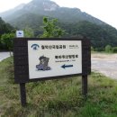 동달천 Daum카페