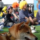 멍사무소 네이버블로그