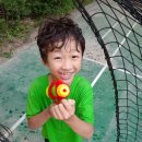 동막골 족구장 이미지