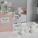 달콤한헤어 | 고급스럽고 달콤한 향 미스디올 헤어미스트 내돈내산 사용 후기