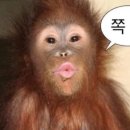 메종플로라산후조리원 이미지