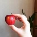 이촌참숯구이 이미지