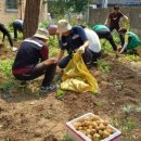 박달1동경로당 이미지