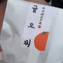 속초 가볼만한 곳 속초중앙시장 주차 먹거리 후기