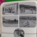 금산고등학교 | 금산고등학교(금산)31회