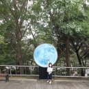 태종대 전망대 이미지