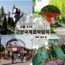 제1자유로주유소 | 고양 가볼만한 곳 고양국제꽃박람회 오픈런 후기, 주차꿀팁 (2026. 4. 26.)
