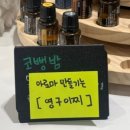 영아로마 이미지
