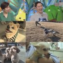 김재윤농장 이미지