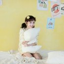 KNOCK-KNOCK 이미지