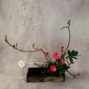 꽃꽂이 초급 이미지