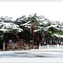 모두건강 이미지