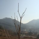 겨울식탁 이미지