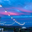 제주 246 이미지