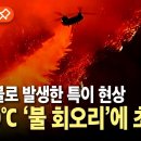 LA 산불에 섭씨 1000℃ 넘는 &#39;불 소용돌이&#39;...&#34;모조리 초토화&#34; 이미지